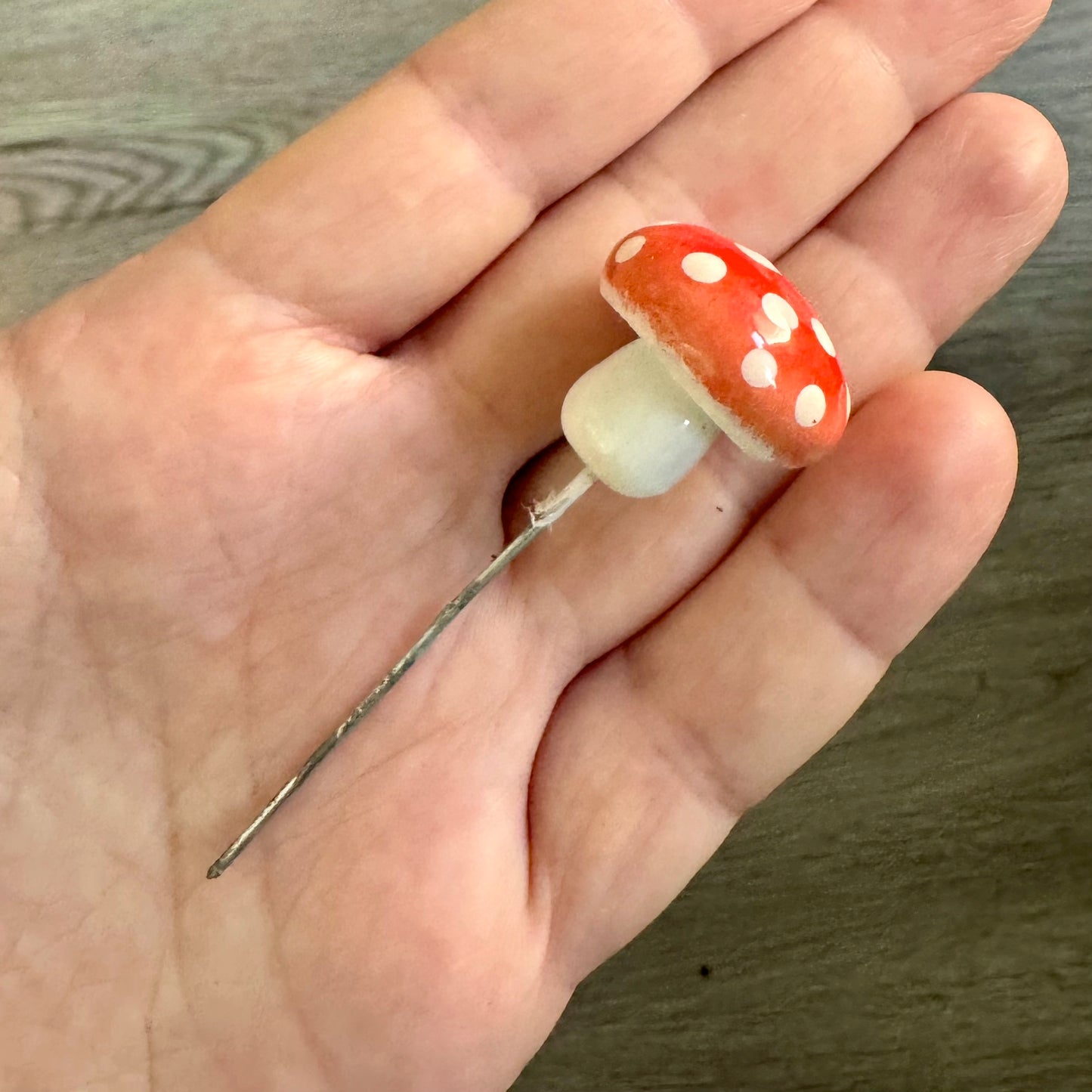 Plantshrooms