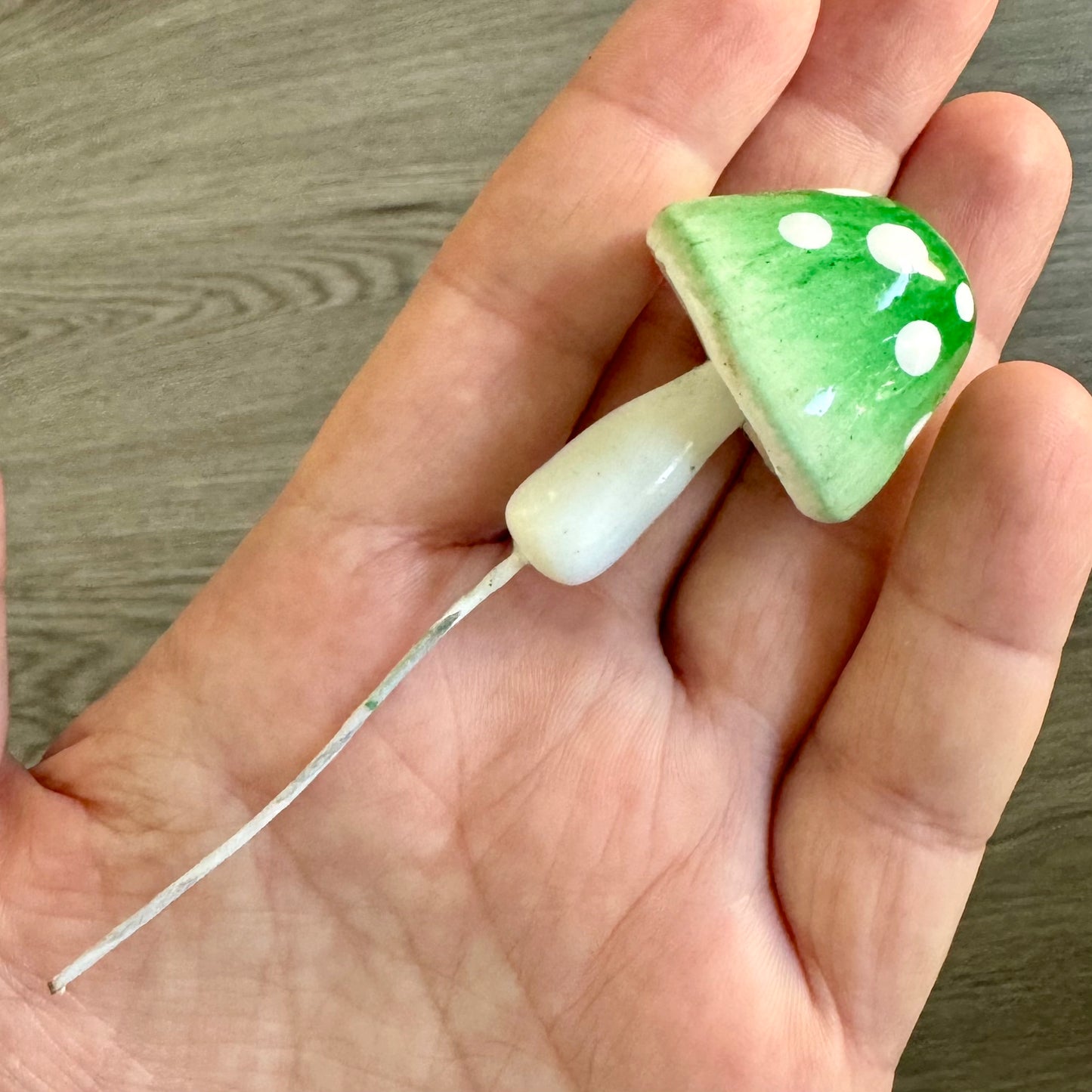 Plantshrooms
