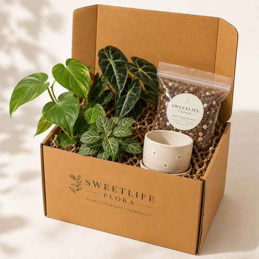 Sweetlife Flora Mystery Greenhouse Box