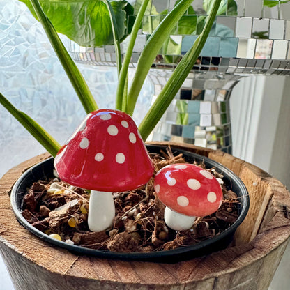 Plantshrooms