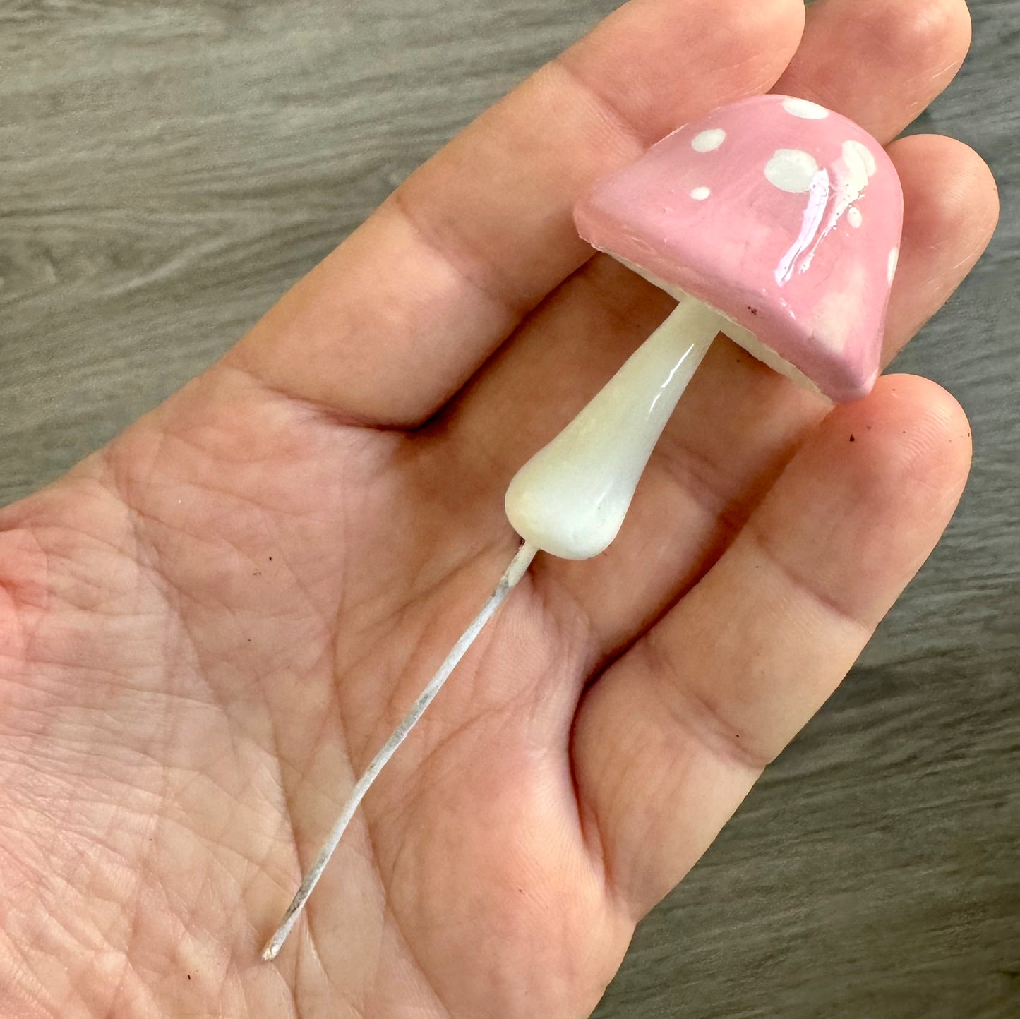 Plantshrooms