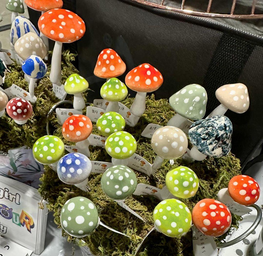 Plantshrooms